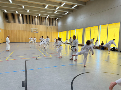 Karate Seminar 2023 in Deutschland_9